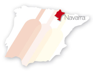 Distribuidores en Navarra